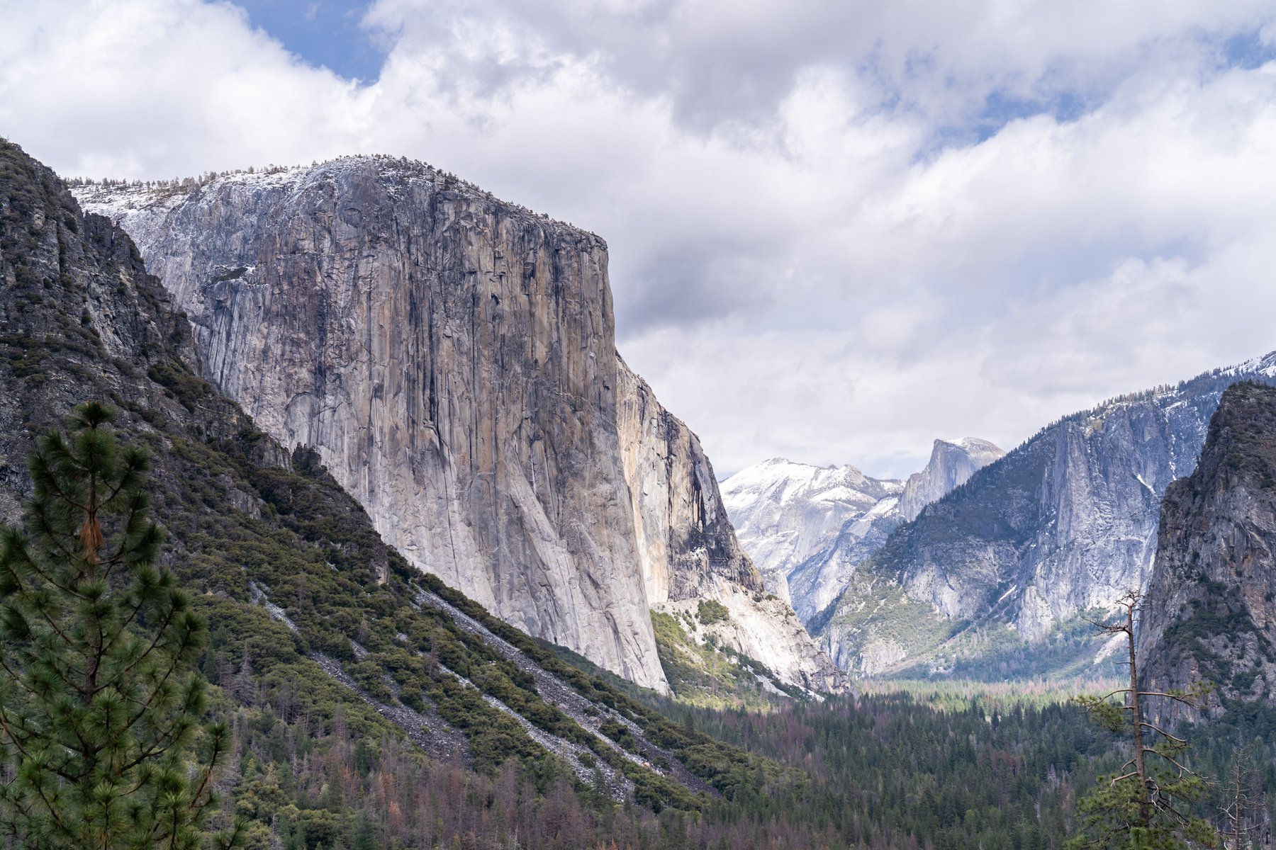 Yosemite national Park